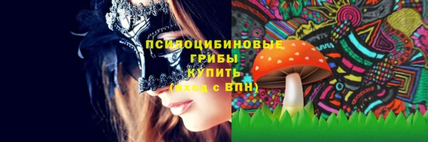 индика Абдулино