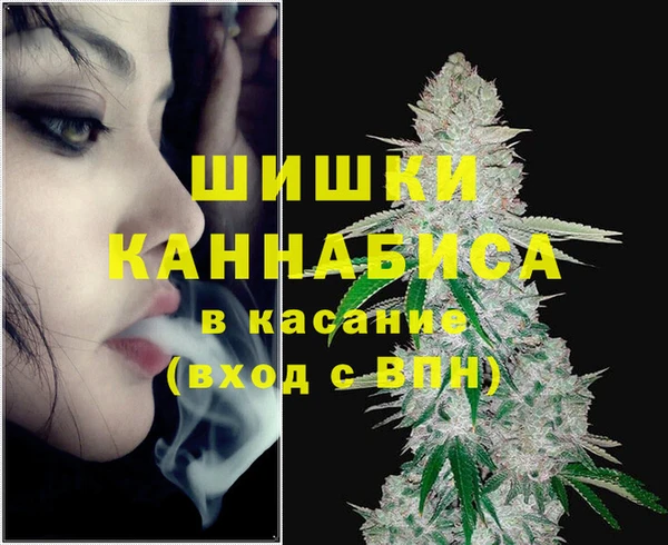 индика Абдулино