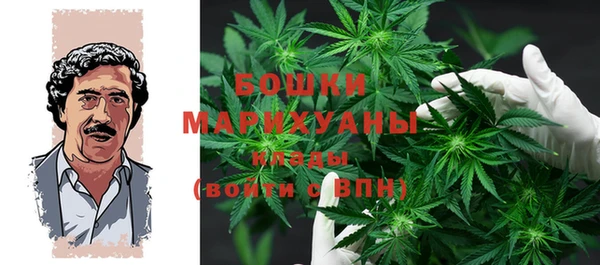 сатива Осинники