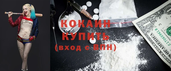 сатива Осинники