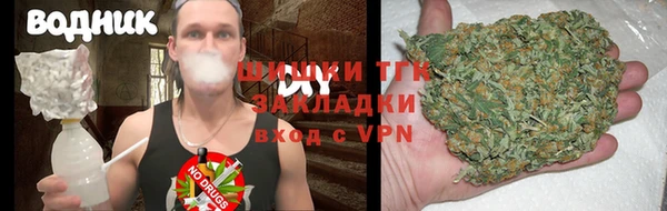 индика Абдулино