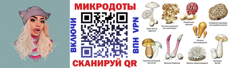 Псилоцибиновые грибы мухоморы  Котельнич 